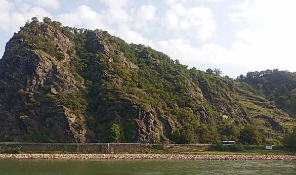 loreley