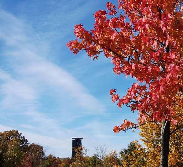 herbsttiergarten