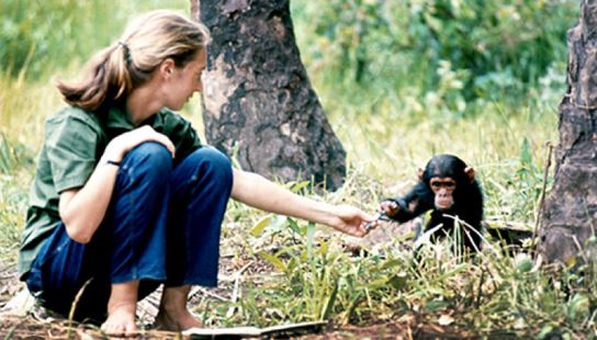 janegoodall