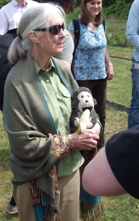 janegoodall3