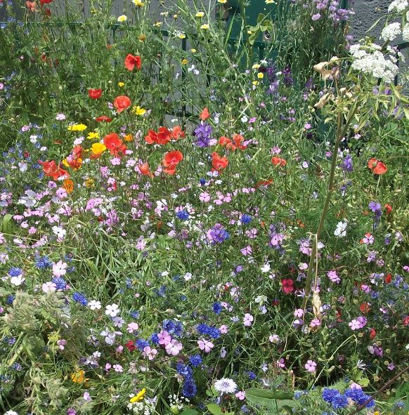 bunt